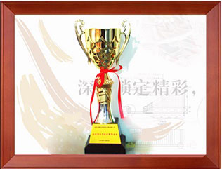 公司榮譽9